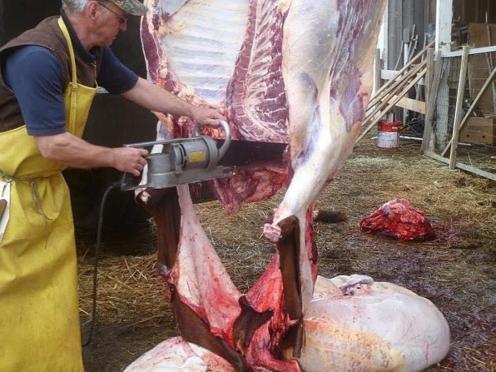 Обвалка мяса. технология переработки мяса