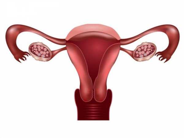 Как гипоплазия матки 1, 2, 3, 4 степени влияет на беременность