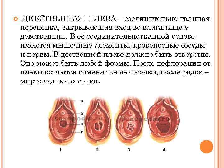 Хирургическая дефлорация - «университетская библиотека» | журнал о гинекологических проблемах и их лечении