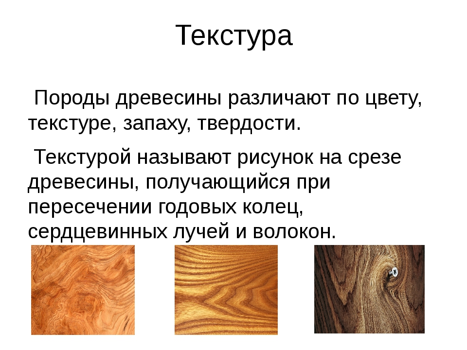Что такое древесина?