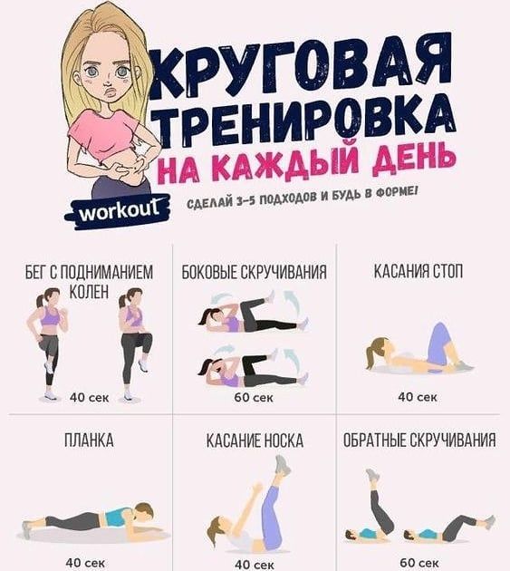 Круговая тренировка: картинки, комплекс эффективных упражнений, техника выполнения, отзывы - tony.ru