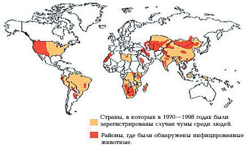 Чем опасна легочная чума и угрожает ли она жителям россии?