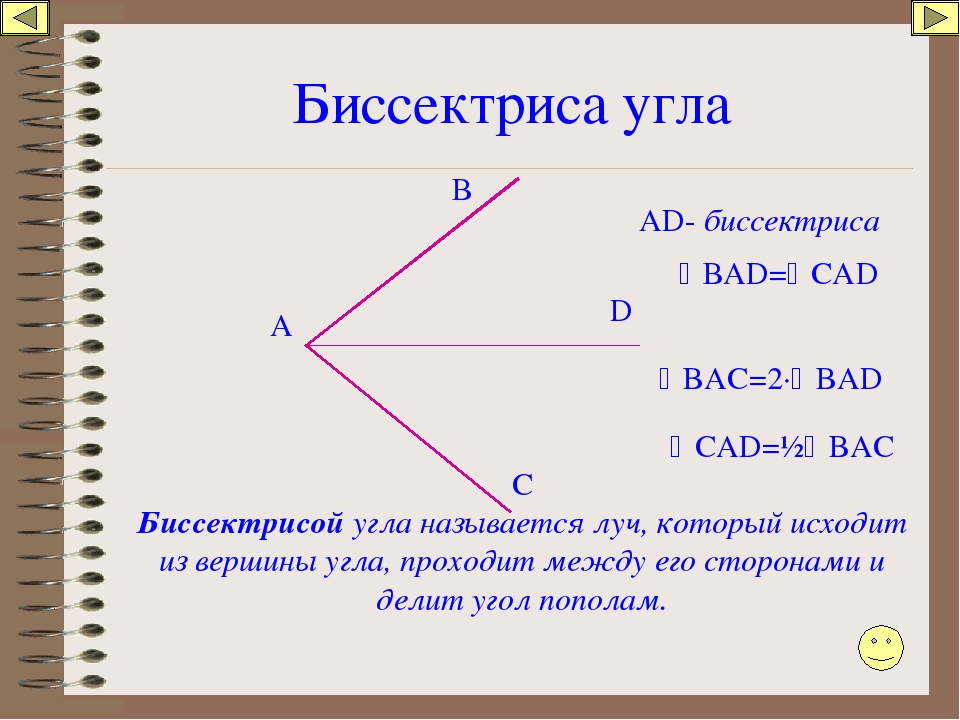 Что такое биссектриса треугольника в геометрии: как найти по формуле и каковы ее свойства | tvercult.ru