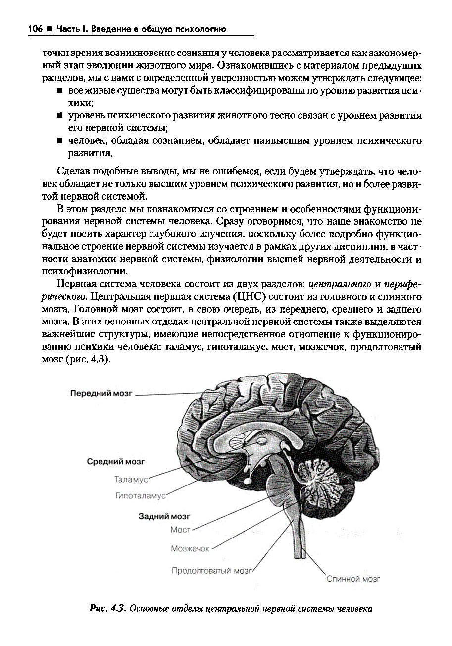 Роль отделов цнс. ЦНС головной мозг строение. Основные отделы центральной нервной системы человека схема. Строение центральной нервной системы: головной мозг, спинной мозг. Схема строения центральной нервной системы.