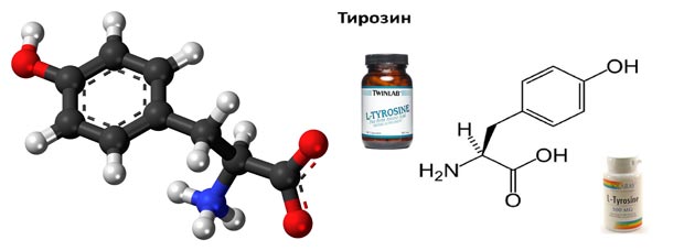 L-тирозин: инструкция по применению, отзывы и противопоказания