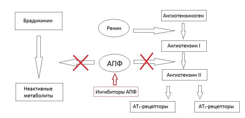 Что такое антигипертензивное действие?