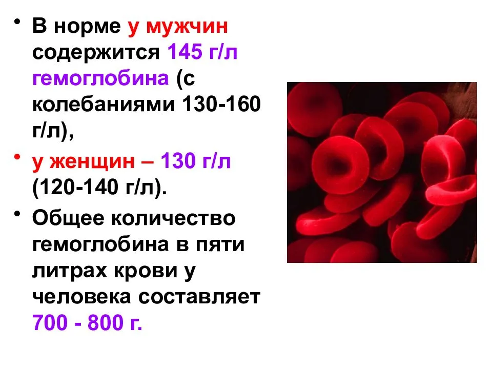 Группы крови человека: чем отличаются и почему их нельзя смешивать