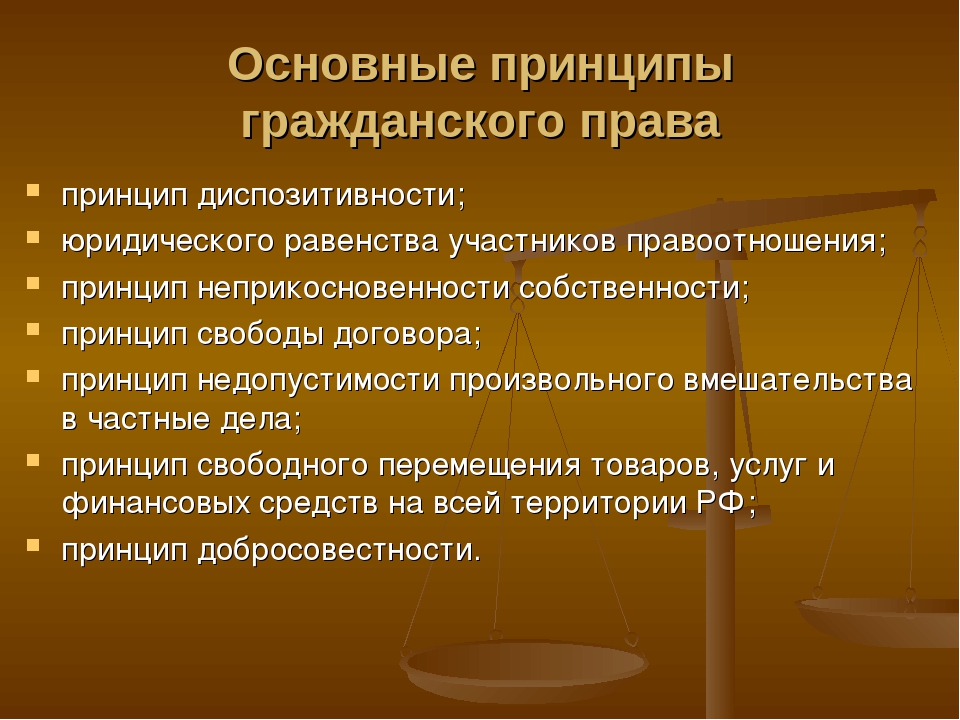 Основной предмет в россии. Гражданское право основные принципы.