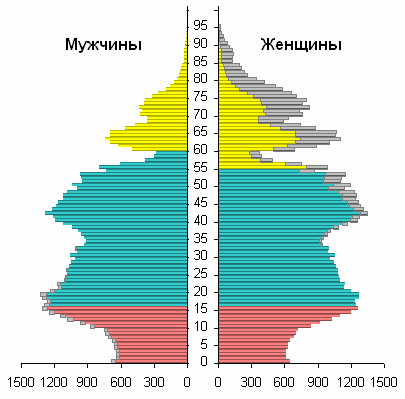 Половозрастная пирамида: виды, типы, группы. анализ половозрастной пирамиды россии