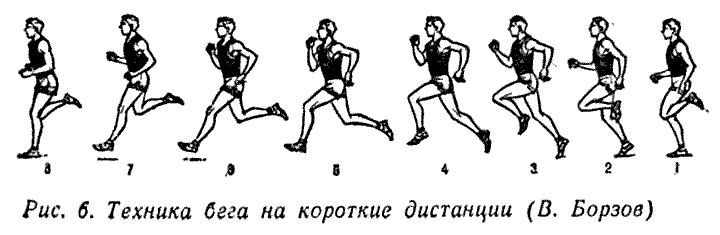 Спринтерский бег: особенности выполнения упражнения