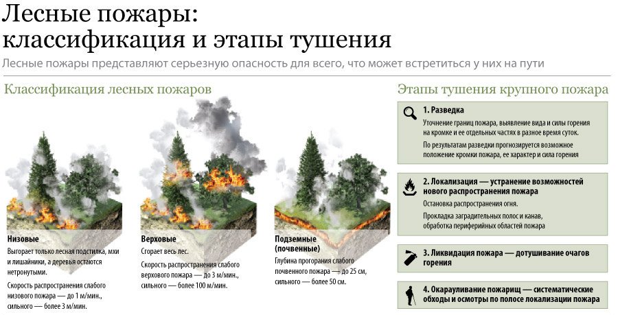 Лесной пожар — википедия. что такое лесной пожар