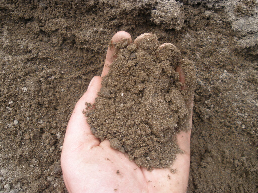 Если у вас глинистая почва на участке