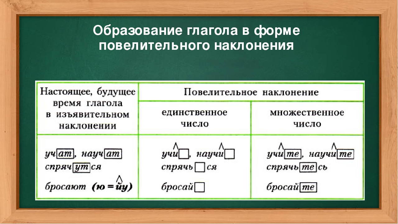 Повелительное наклонение в русском языке: правило, примеры