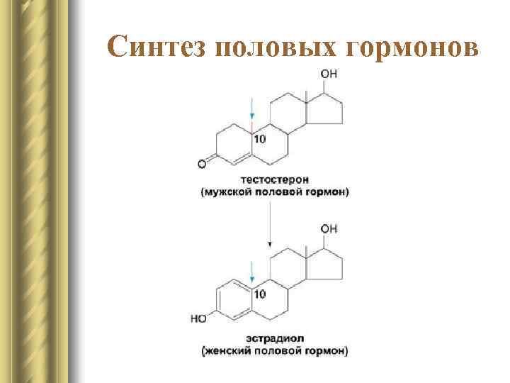 Секреция женских половых гормонов. Схема синтеза половых гормонов. Химическая структура половых гормонов. Гормоны половых желез биохимия. Строение гормонов андрогенов.