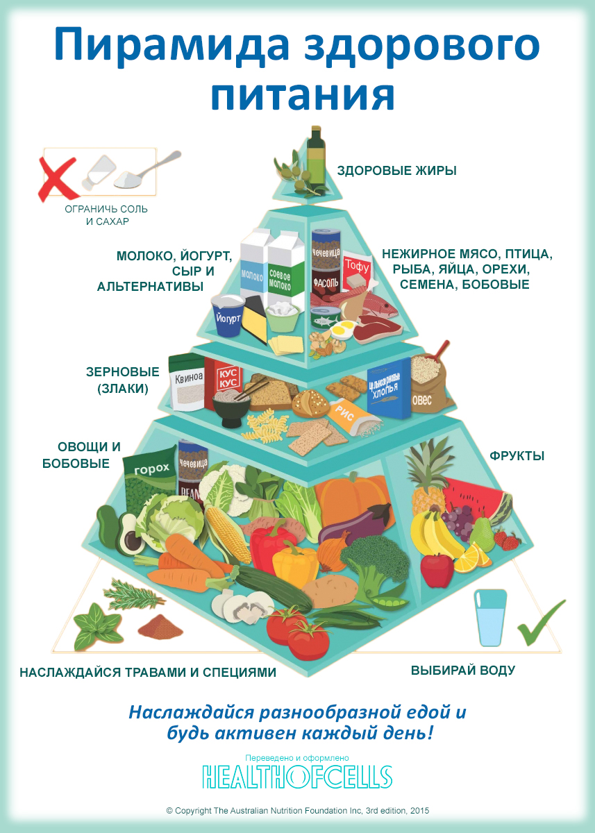 Рацион питания человека, пищевая пирамида питания