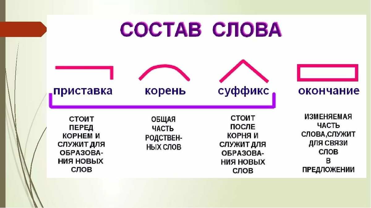 Основа слова в русском языке - правило, примеры, таблица