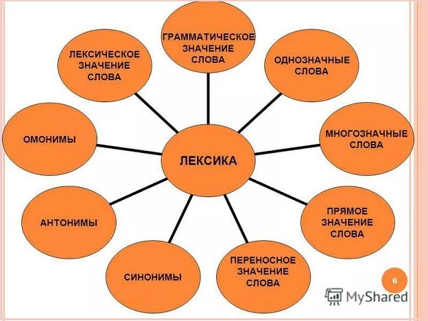 Лексика – что это такое в русском языке, определение и примеры (5 класс)
