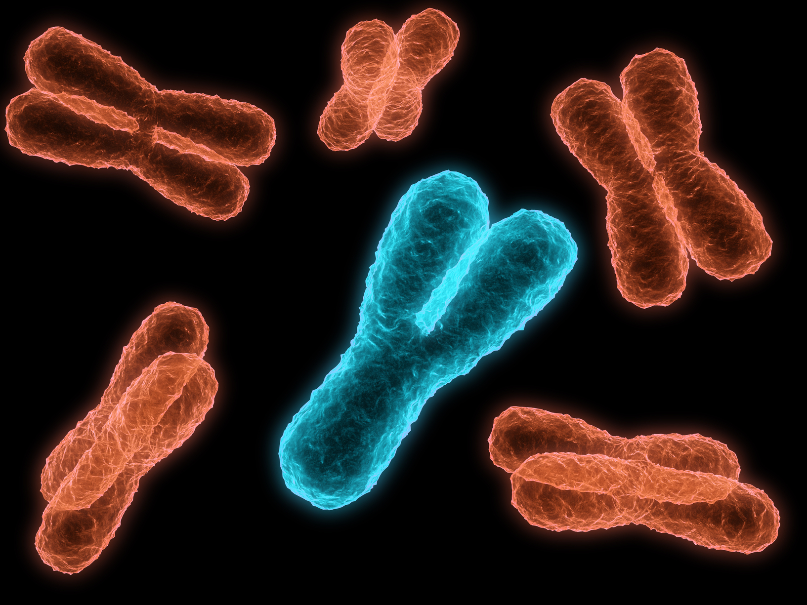 Сколько хромосом у нормального человека: каково их количество у здоровых мужчин и женщин | tvercult.ru