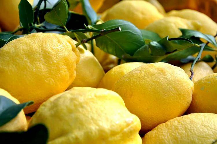 «лимончелло»: рецепт приготовления в домашних условиях