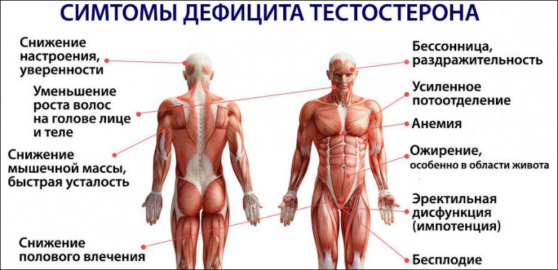 Что такое стояк водоснабжения и из каких материалов может быть выполнен