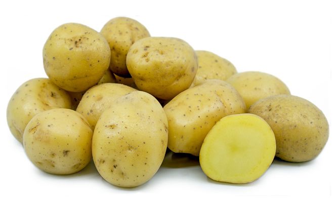Выращивание картофеля от а до я часть1. что такое столоны? что такое репродукция картофеля? что такое миниклубни?